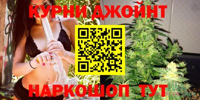 ECSTASY Камышлов