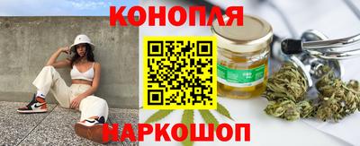 прущие крисы Кингисепп