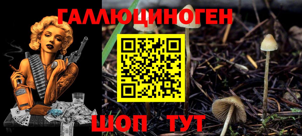 Галлюциногенные грибы ЛСД Южно-Сахалинск